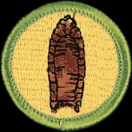 Archaeology merit badge emblem