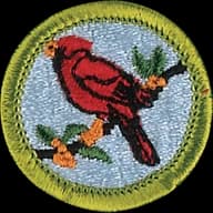 Bird Study merit badge emblem