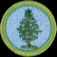 Forestry merit badge emblem
