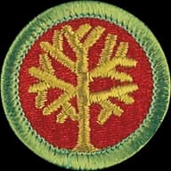 Genealogy merit badge emblem
