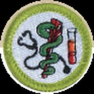 Health Care Professions merit badge emblem
