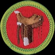 Horsemanship merit badge emblem