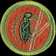 Insect Study merit badge emblem