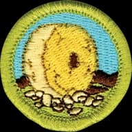 Inventing merit badge emblem