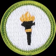 Public Health merit badge emblem