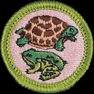 Reptile and Amphibian Study merit badge emblem