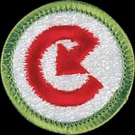 Energy merit badge emblem